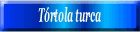 Tórtola turca
