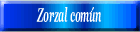 Zorzal común