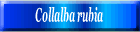 Collalba rubia