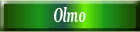 Olmo