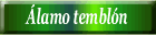 Álamo temblón