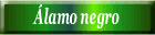 Álamo negro