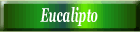 Eucalipto