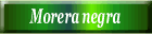 Morera negra