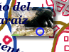 Click para ampliar